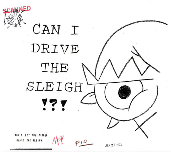 Can I Drive the Sleigh!?!