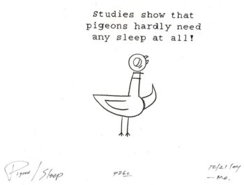 Studies Show Pigeons Hardly Need Any Sleep