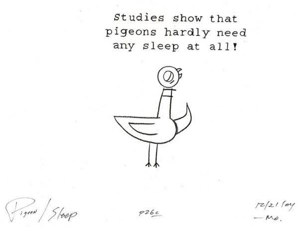 Studies Show Pigeons Hardly Need Any Sleep