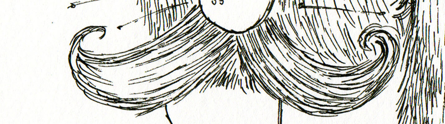 page banner image