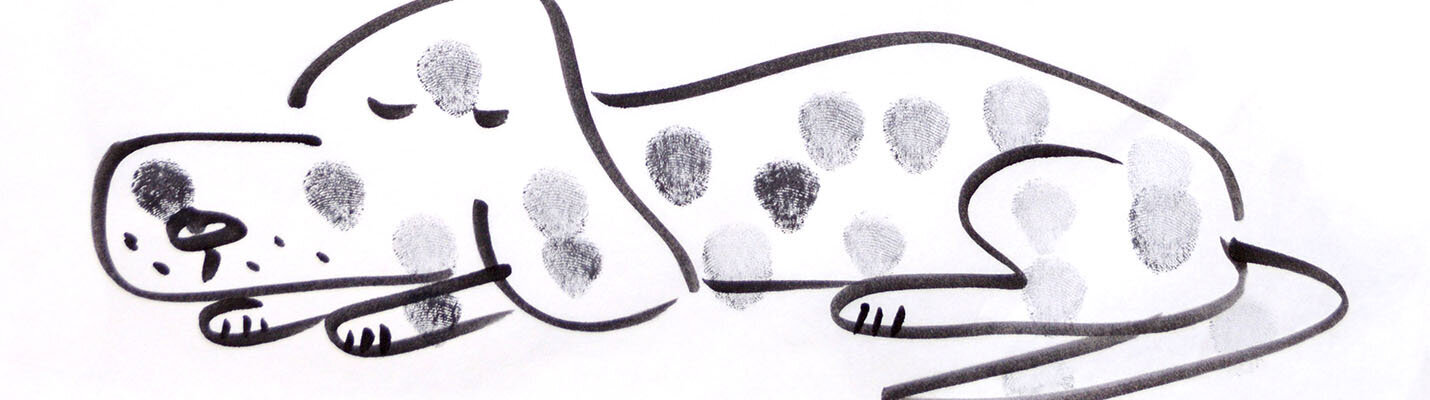 page banner image