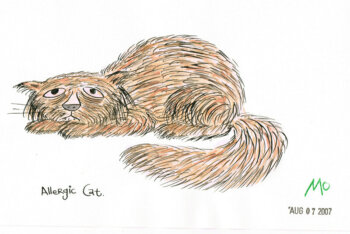 Allergic Cat